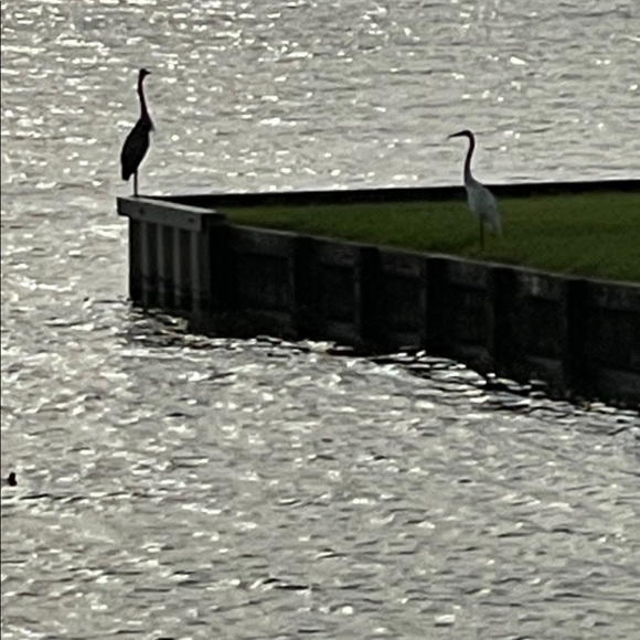 Meet your Posher, Mary - Picture 7 of 8